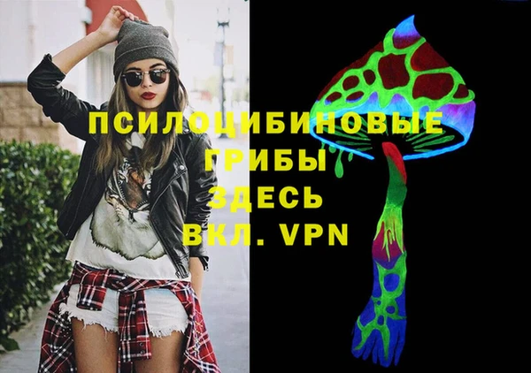 трава Арсеньев
